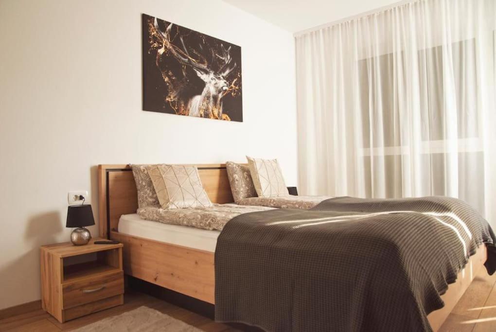 5 Dream Apartment 5 Cu Parcare Privata 오라데아 외부 사진