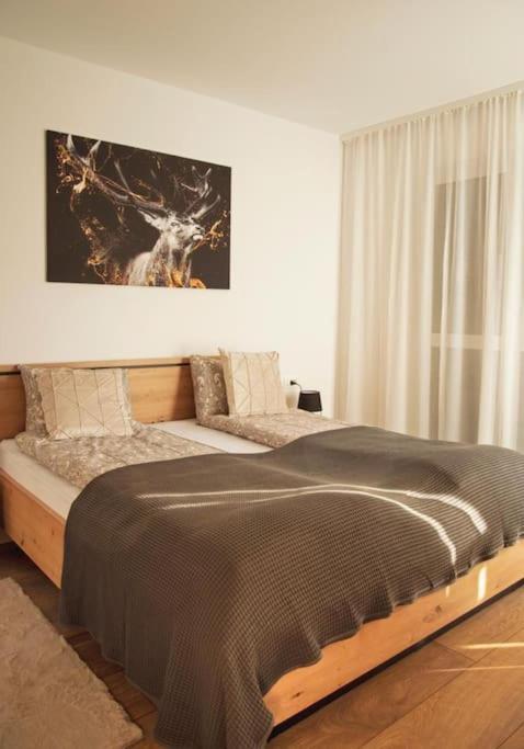 5 Dream Apartment 5 Cu Parcare Privata 오라데아 외부 사진
