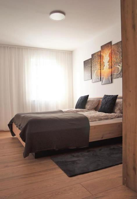 5 Dream Apartment 5 Cu Parcare Privata 오라데아 외부 사진